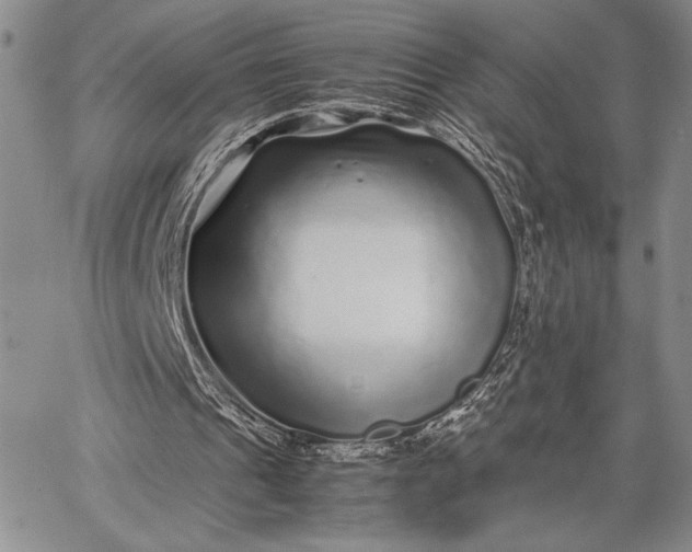 X0000062650241200601040925