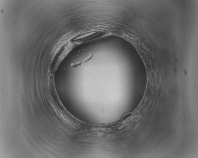 X0000062650242200601040925