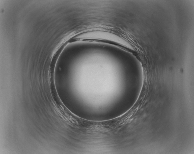 X0000062650244200601040925