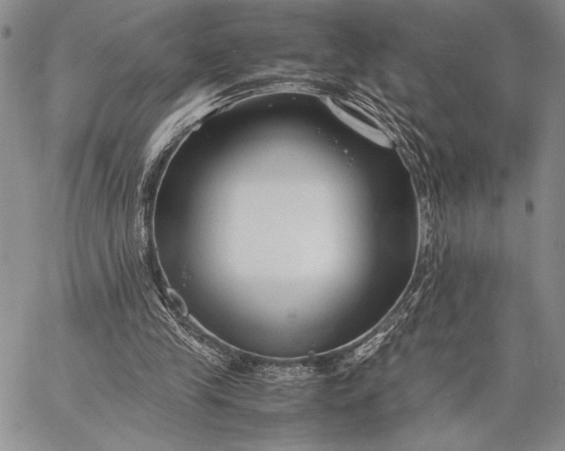 X0000062650245200601040925