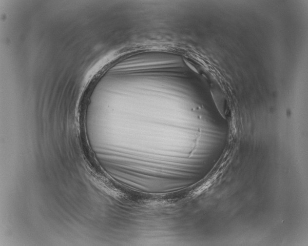 X0000062650246200601040925