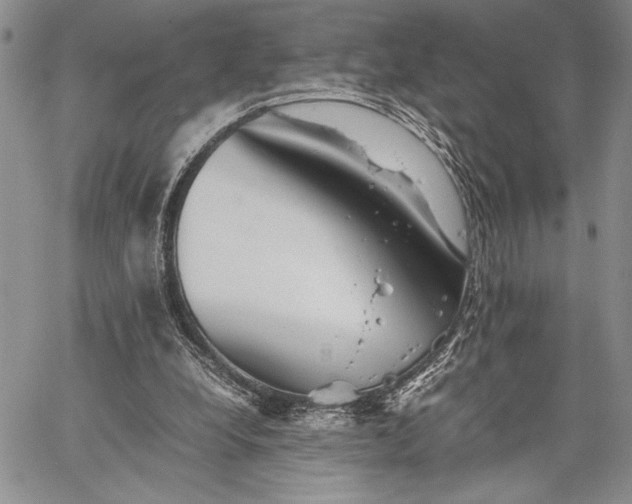 X0000062650248200601040925