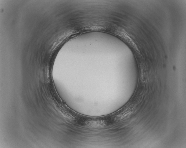 X0000062650251200601040925