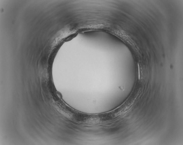 X0000062650252200601040925