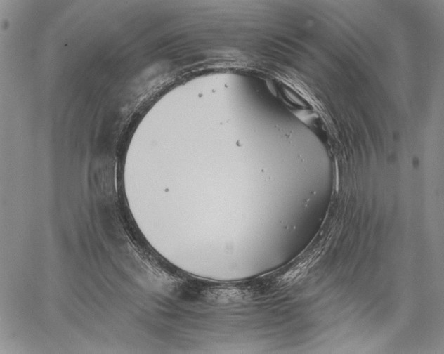 X0000062650253200601040925