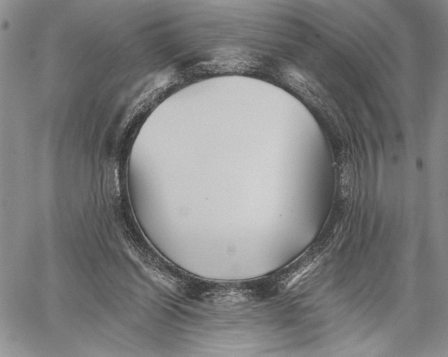 X0000062650254200601040925