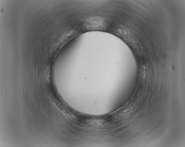 X0000062650255200601040925