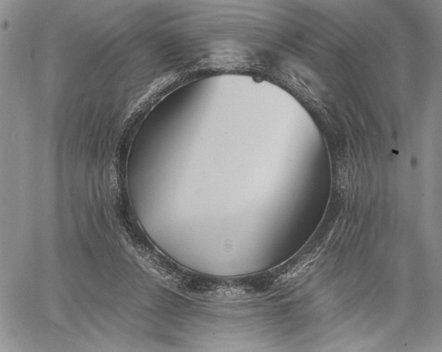 X0000062650256200601040925