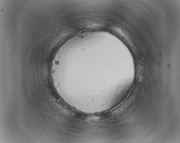 X0000062650257200601040925