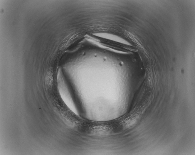 X0000062650259200601040925