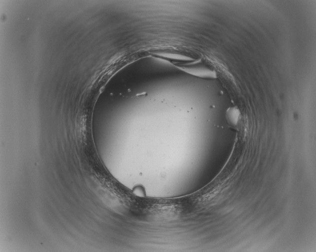 X0000062650260200601040925