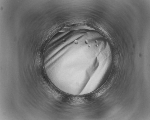 X0000062650261200601040925