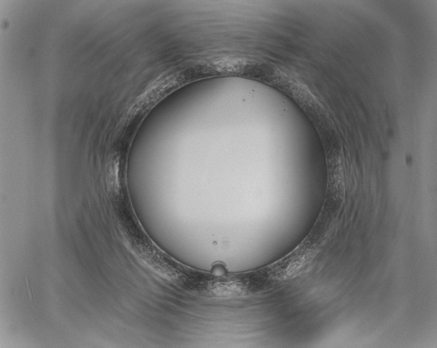 X0000062650262200601040925