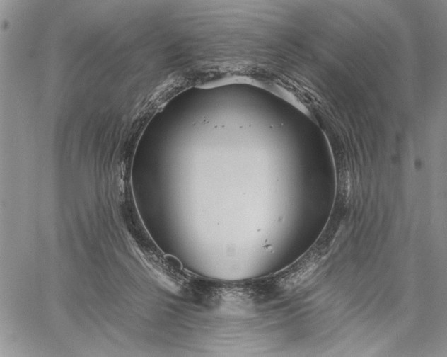 X0000062650264200601040925