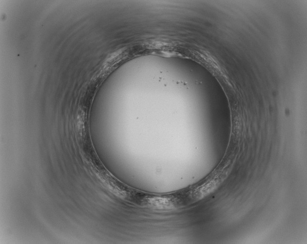 X0000062650265200601040925