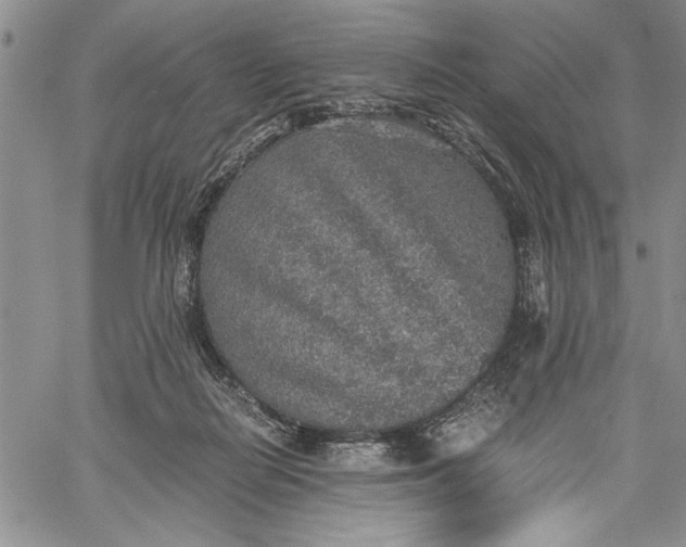 X0000062650266200601040925