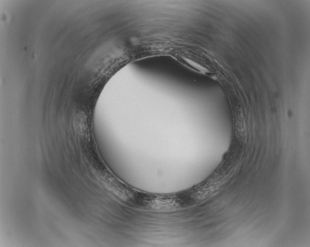 X0000062650270200601040926