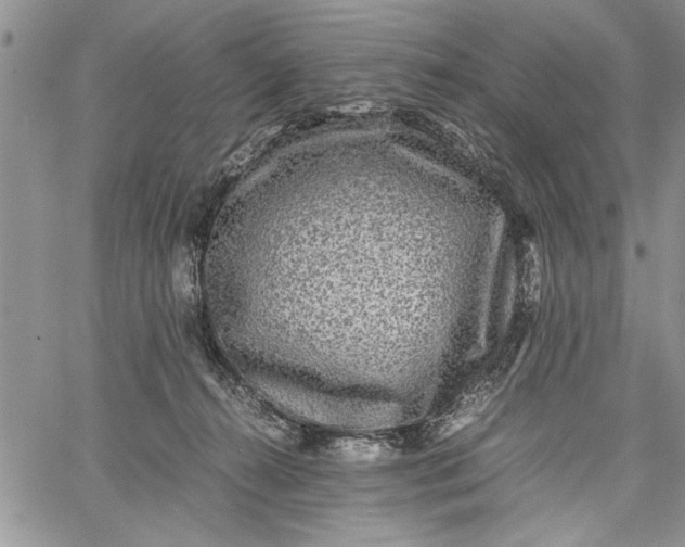 X0000062650272200601040926