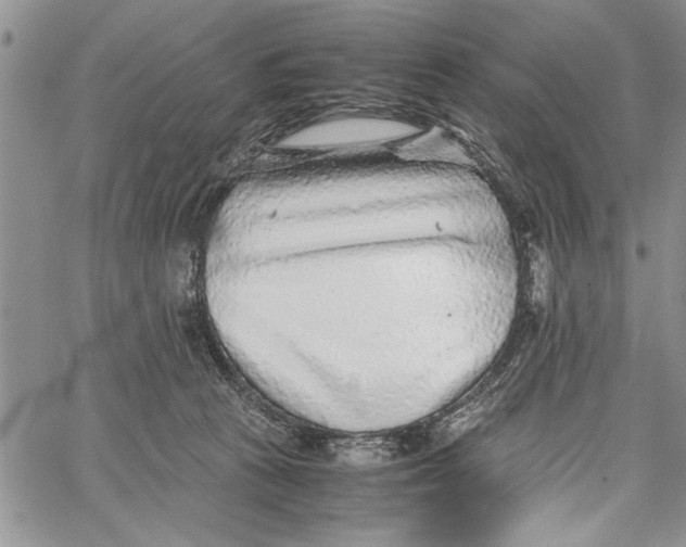 X0000062650273200601040926