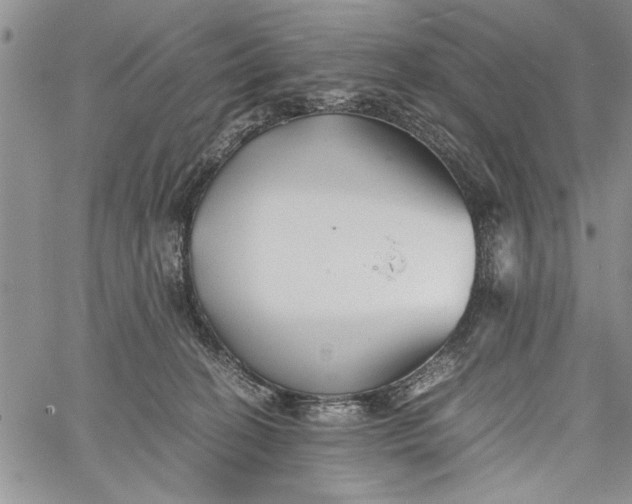 X0000062650274200601040926