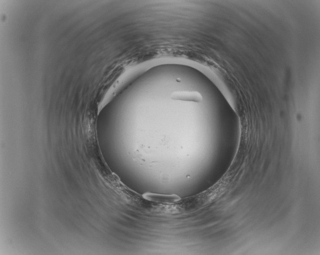 X0000062650276200601040926