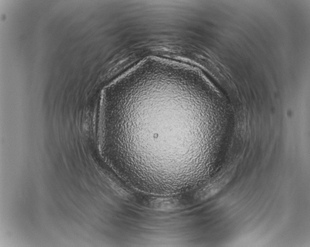 X0000062650277200601040926