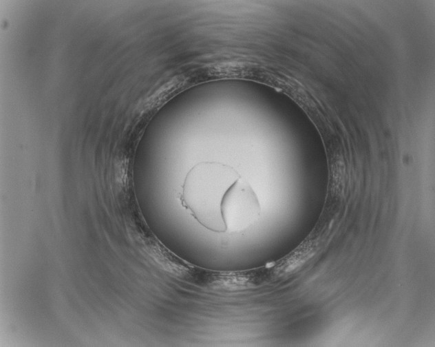 X0000062650278200601040926