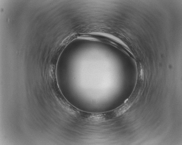 X0000062650280200601040926