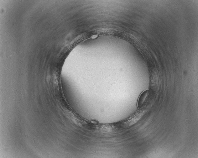 X0000062650282200601040926