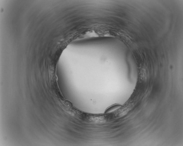 X0000062650283200601040926