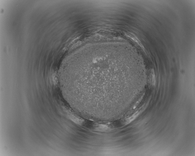 X0000062650285200601040926