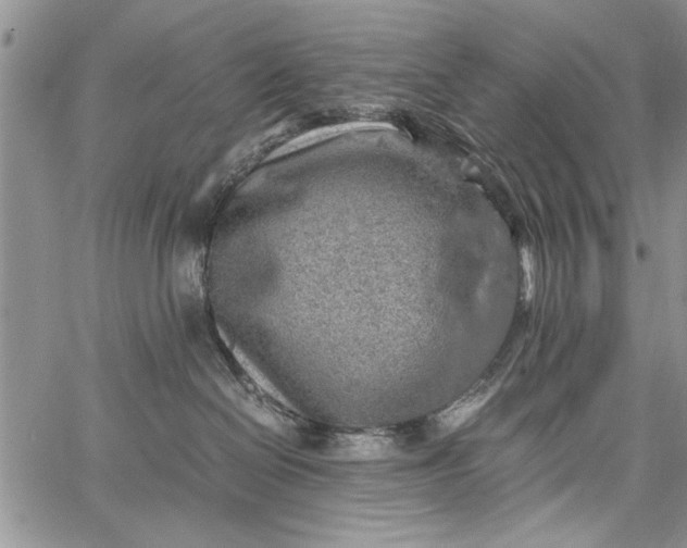 X0000062650286200601040926