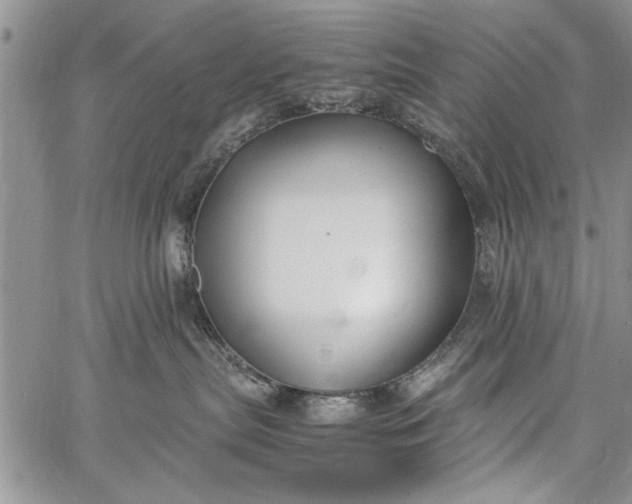 X0000062650287200601040926