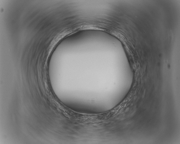 X0000062650289200601040925