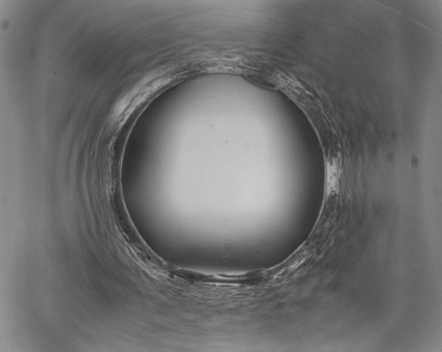 X0000062650291200601040925