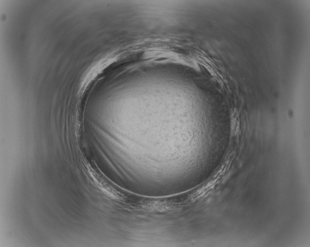 X0000062650293200601040925