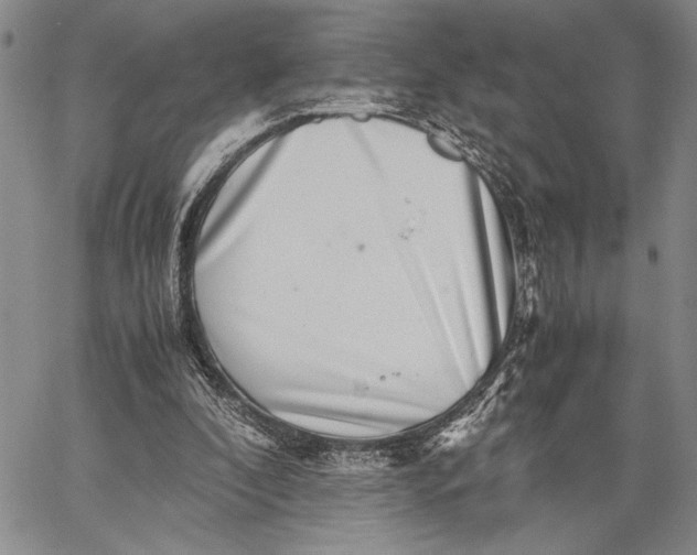 X0000062650296200601040925