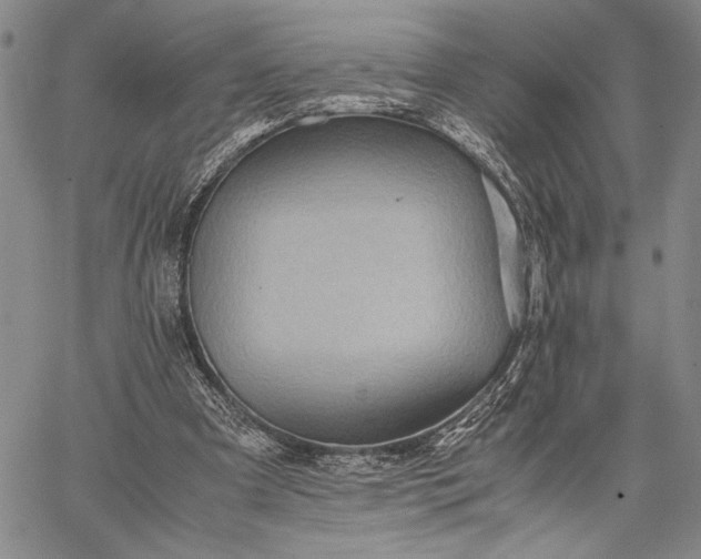 X0000062650297200601040925