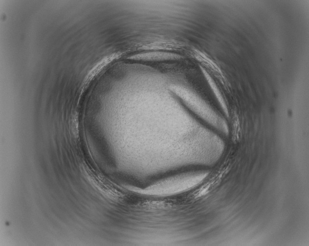 X0000062650298200601040925