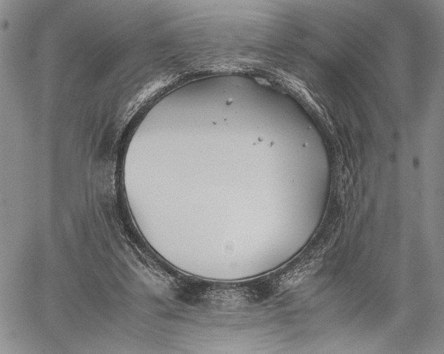 X0000062650299200601040925