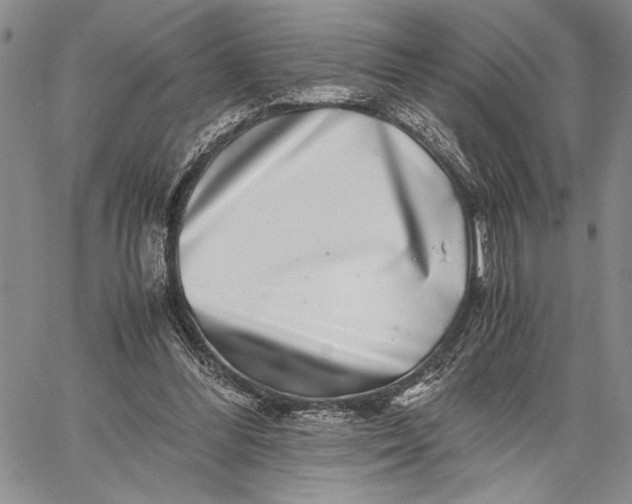 X0000062650300200601040925