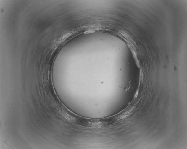 X0000062650301200601040925