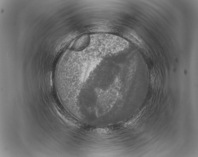 X0000062650302200601040925