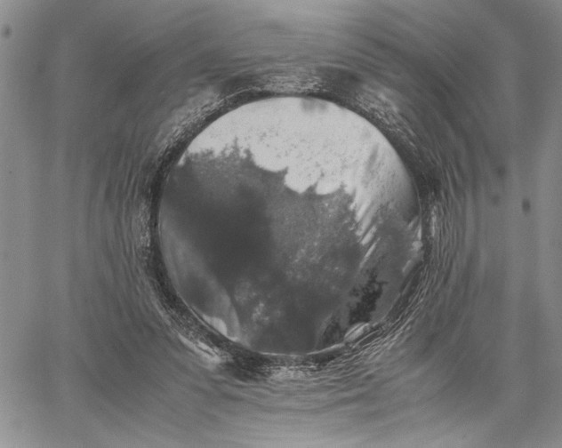 X0000062650303200601040925