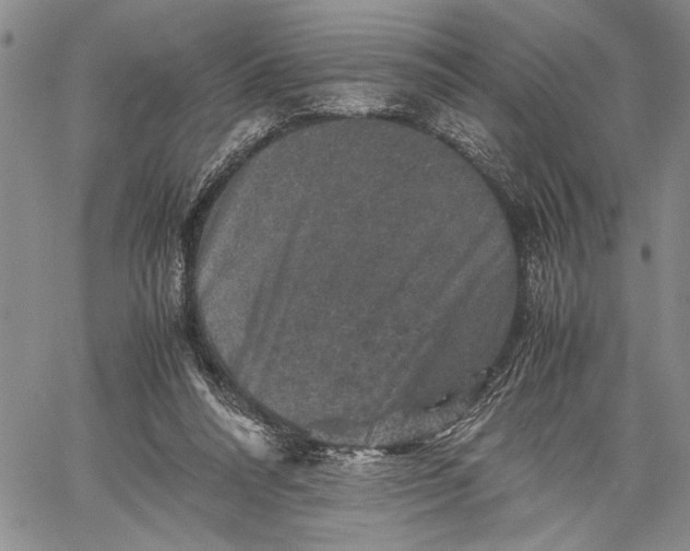 X0000062650304200601040925