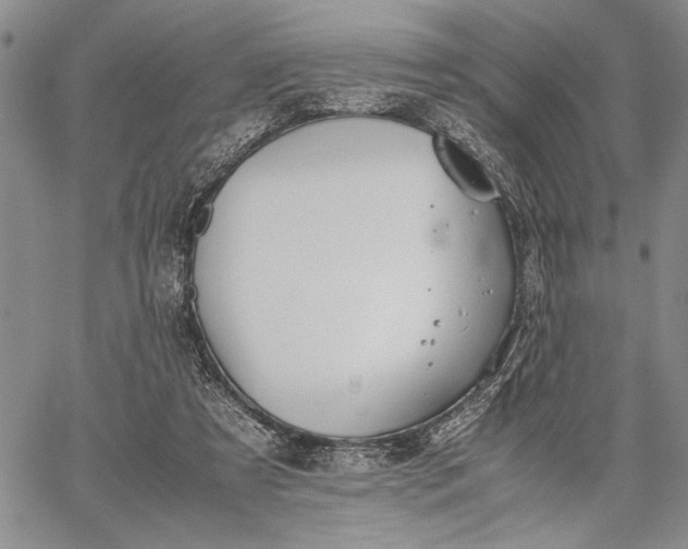 X0000062650305200601040925