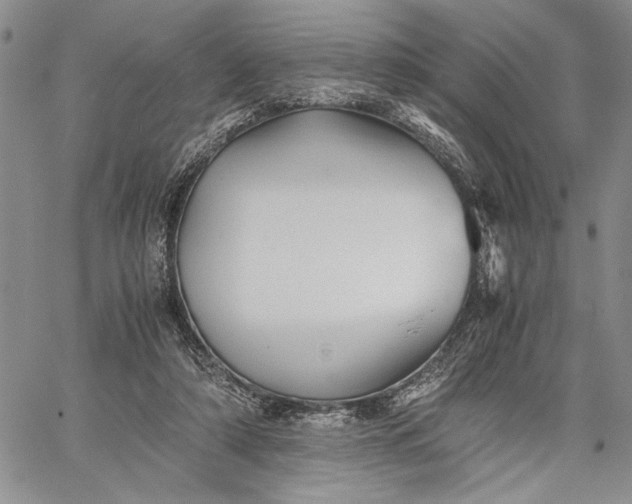 X0000062650306200601040925