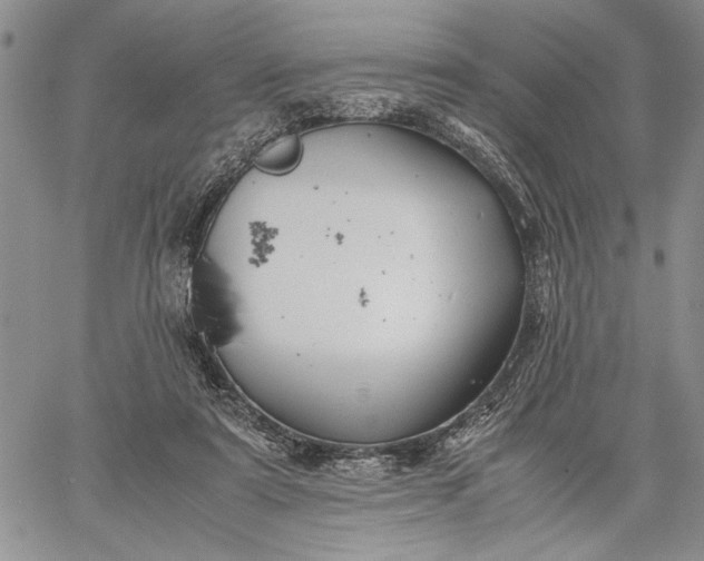 X0000062650307200601040925