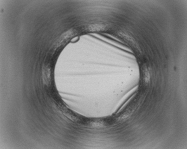 X0000062650308200601040925