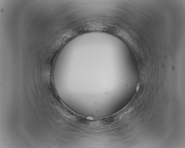 X0000062650309200601040925